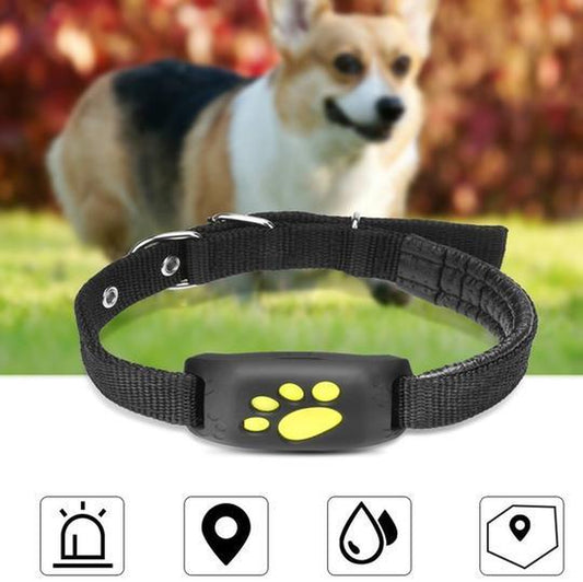 Pet Trackmaster: the Ultimate Gps Pet Tracker